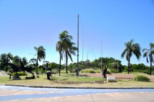 Corrientes se viste de Navidad con árboles gigantes, un pesebre y el “Árbol de los deseos”